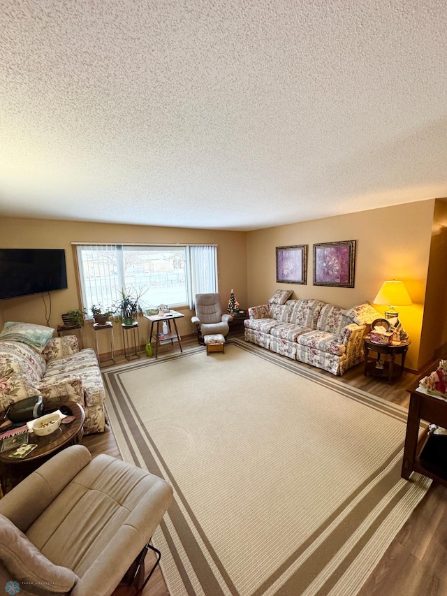 living room with a textured ceiling and hardwood / wood-style flooring