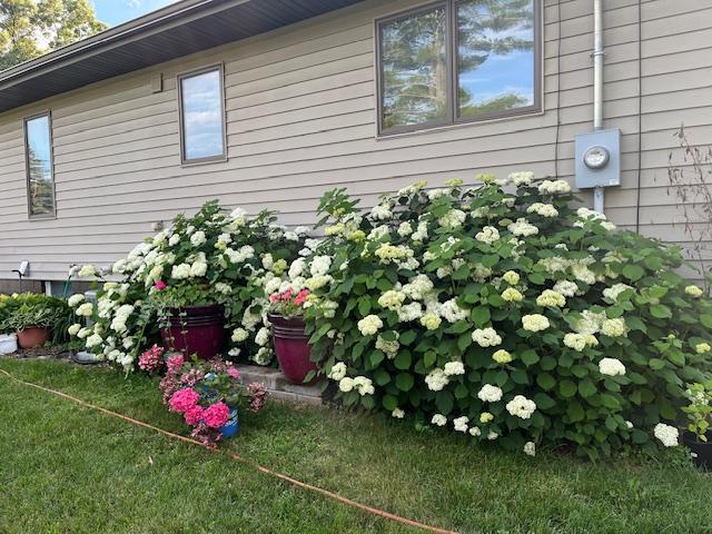 view of home's exterior with a lawn