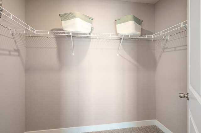 walk in closet featuring carpet flooring