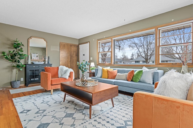 living room featuring a textured ceiling, light hardwood / wood-style floors, and plenty of natural light