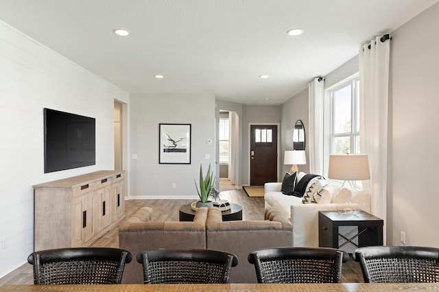 living room featuring light hardwood / wood-style flooring