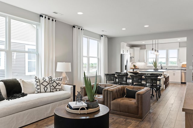 living room featuring dark hardwood / wood-style floors and a healthy amount of sunlight