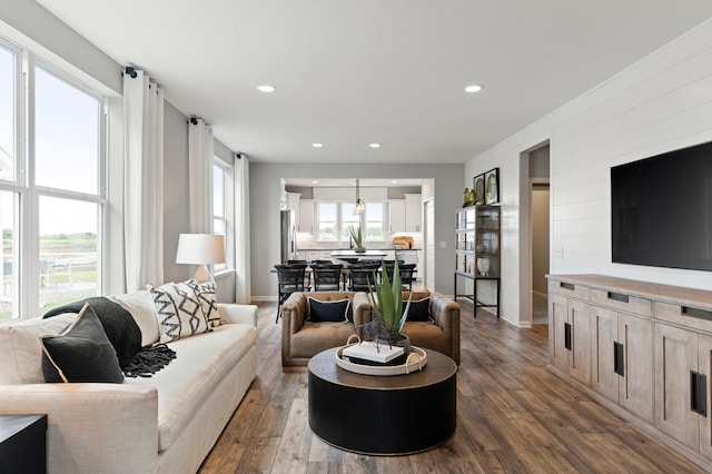 living room with dark hardwood / wood-style floors