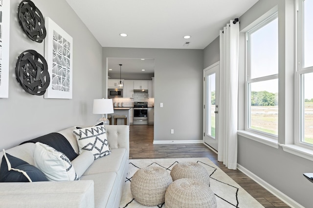 living room featuring dark hardwood / wood-style floors