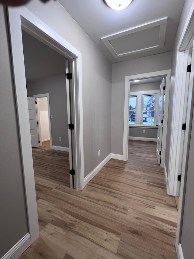 hallway with light wood-type flooring