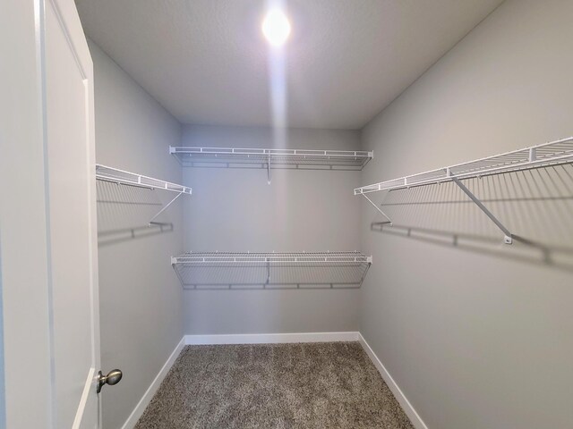 walk in closet featuring carpet