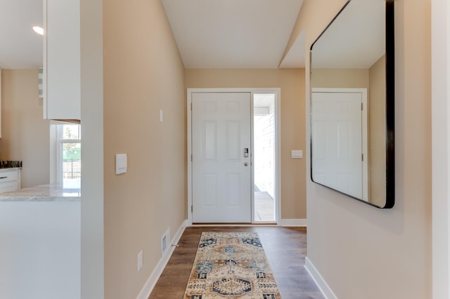 entrance foyer with dark wood-type flooring