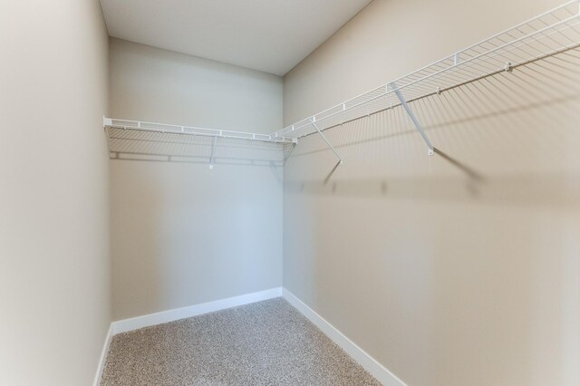 walk in closet featuring carpet