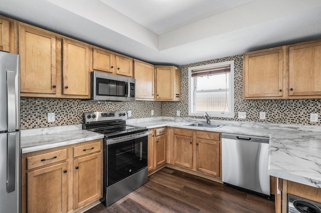 1415 Galtier St, Saint Paul, MN 55117 - kitchen featuring appliances with stainless steel finishes, a sink, dark wood-type flooring, tasteful backsplash, and a tray ceiling