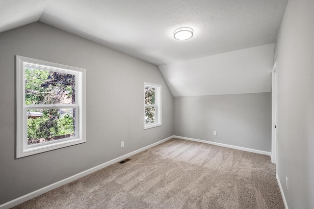 1415 Galtier St, Saint Paul, MN 55117 - bonus room with lofted ceiling, plenty of natural light, carpet, baseboards, and a textured ceiling
