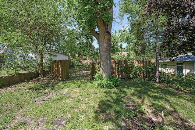 1415 Galtier St, Saint Paul, MN 55117 - view of yard