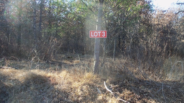 LOT3 275th St, Sterling Twp WI, 54024 land for sale