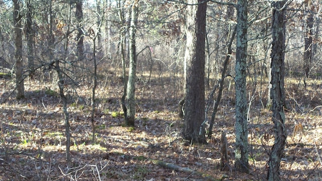 Listing photo 3 for LOT2 275th St, Sterling Twp WI 54024