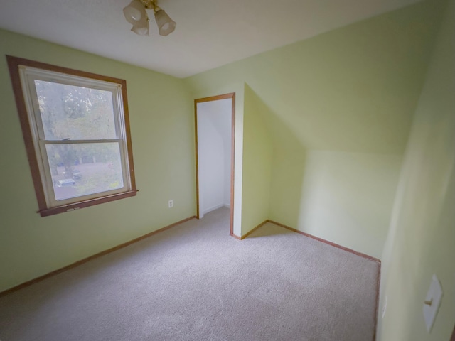 additional living space featuring light carpet