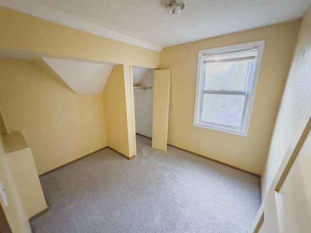 additional living space with light carpet