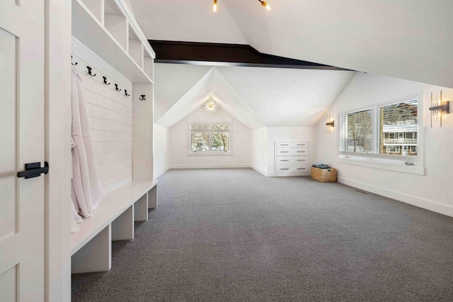 mudroom with carpet floors and vaulted ceiling