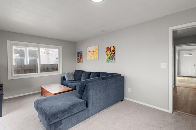 living room featuring carpet flooring