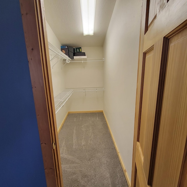 spacious closet with carpet flooring