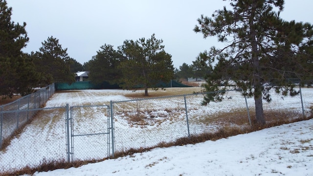 view of snowy yard