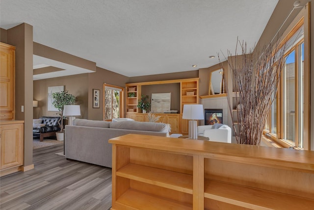 5061 Oxbow Pl, Champlin, MN 55316 - living area with a fireplace, light wood finished floors, and a textured ceiling