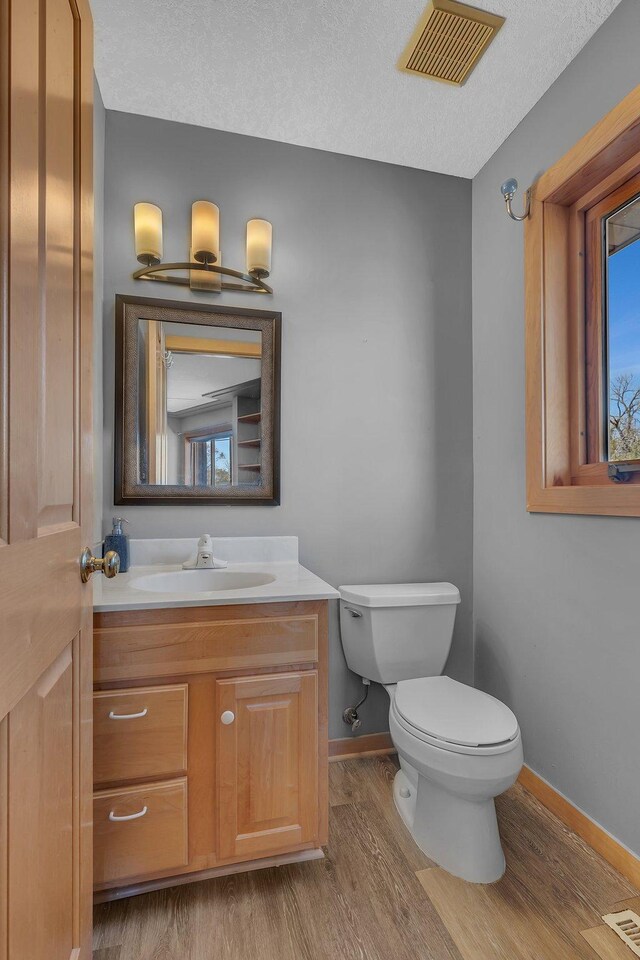 5061 Oxbow Pl, Champlin, MN 55316 - bathroom with wood finished floors, vanity, and a textured ceiling