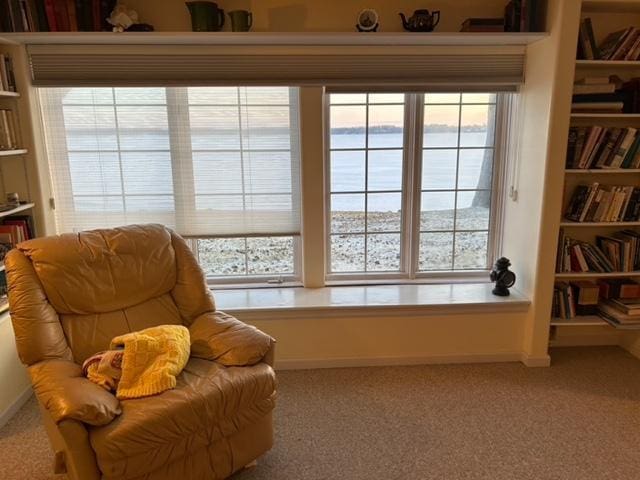 living area with light colored carpet and built in features