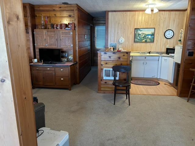 interior space featuring light carpet and wooden walls