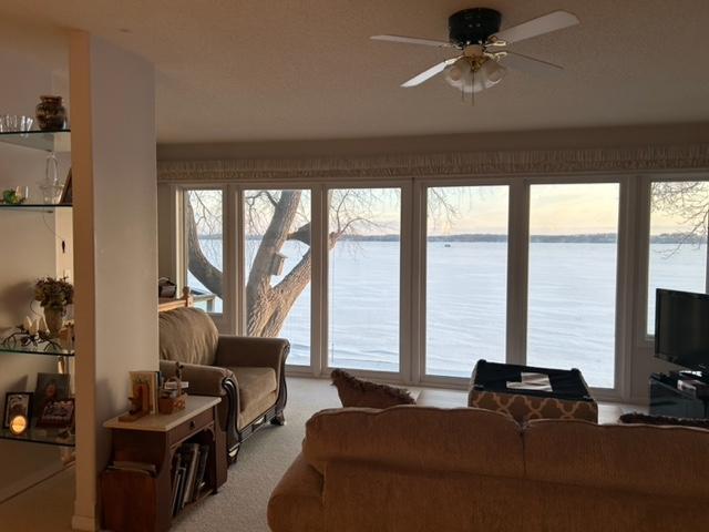 living area featuring light carpet, a ceiling fan, and a healthy amount of sunlight