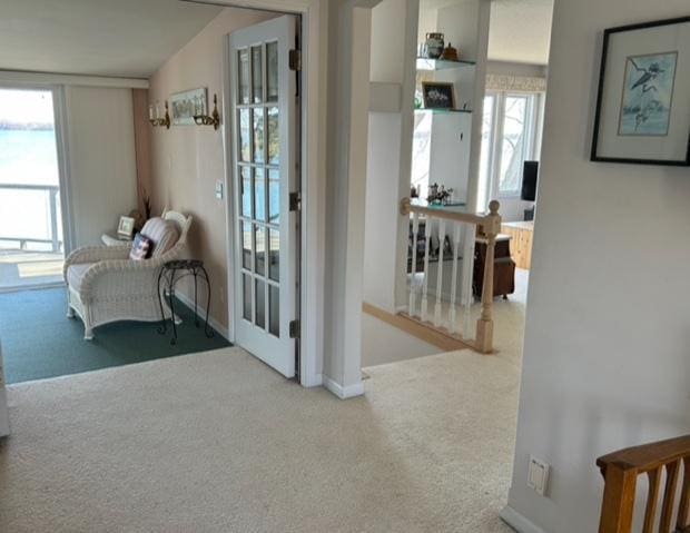 interior space featuring baseboards, carpet, and a healthy amount of sunlight