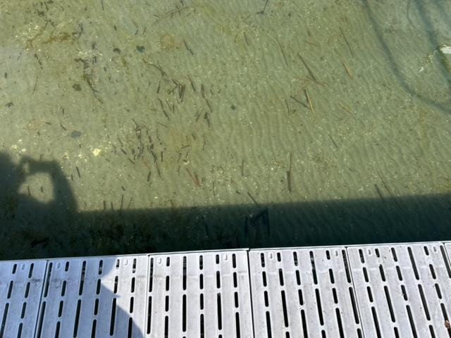 view of details