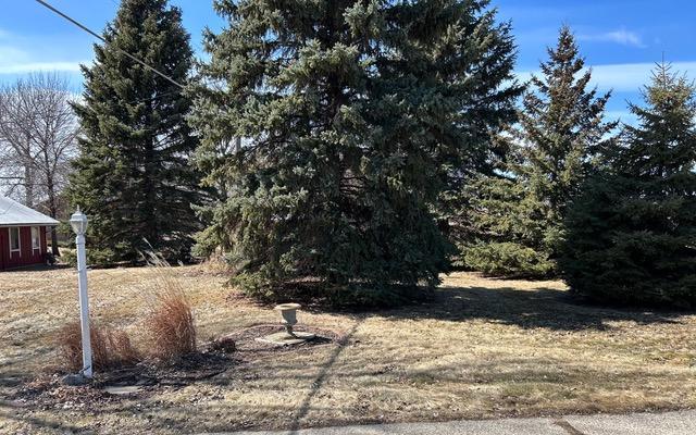 27785 Shore Dr, Starbuck, MN 56381 - photo 71