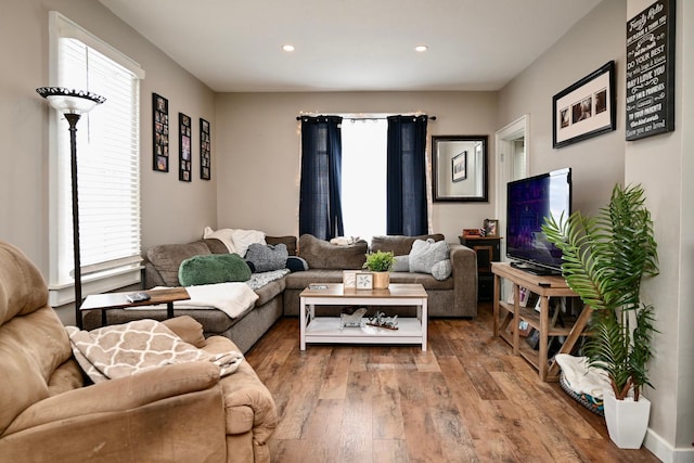 living room featuring hardwood / wood-style floors and plenty of natural light