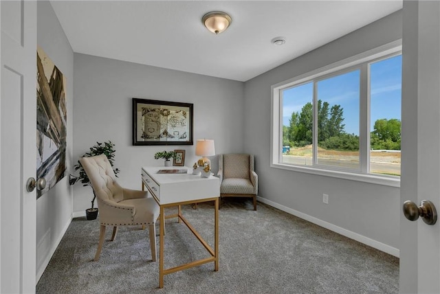 view of carpeted office space