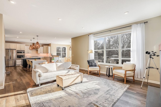 living room featuring dark wood-type flooring