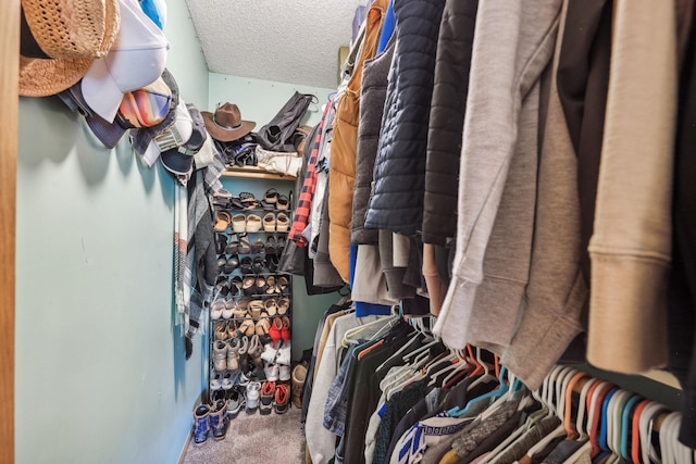 walk in closet with carpet