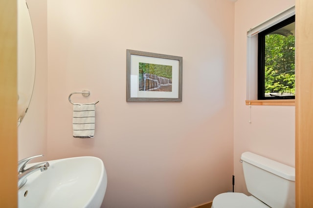 bathroom with sink and toilet