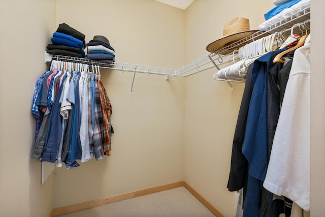 spacious closet featuring carpet