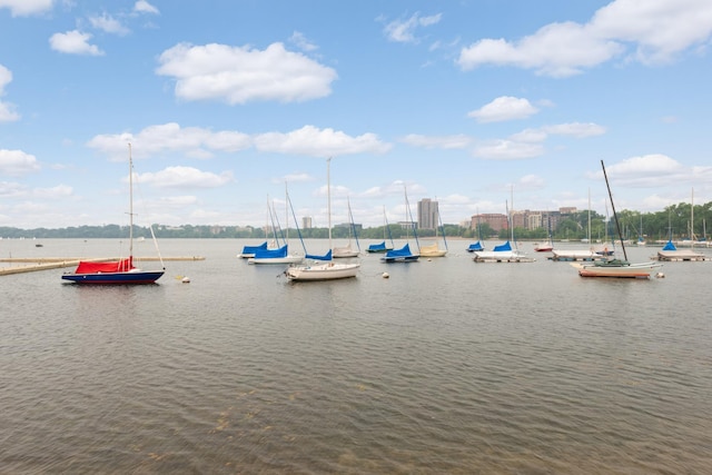 water view featuring a boat dock