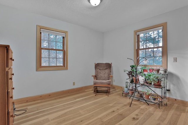 sitting room featuring a textured ceiling and light wood-type flooring