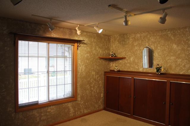 interior space featuring a textured ceiling, a wealth of natural light, and track lighting