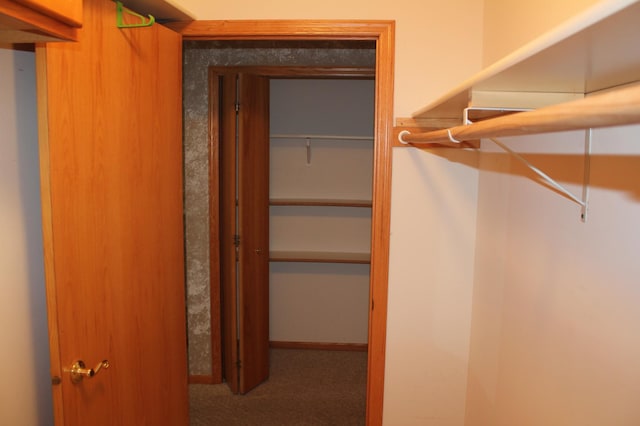 spacious closet with carpet