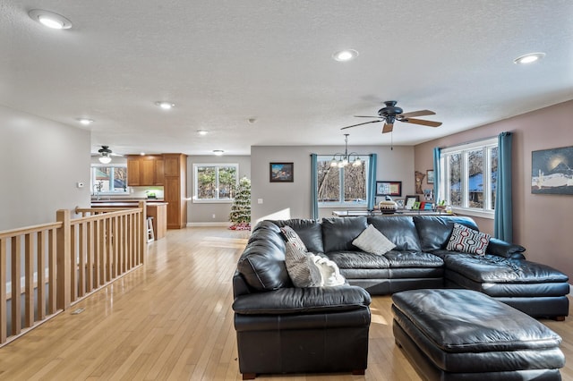 living room featuring ceiling fan with notable chandelier, a textured ceiling, and light wood-type flooring