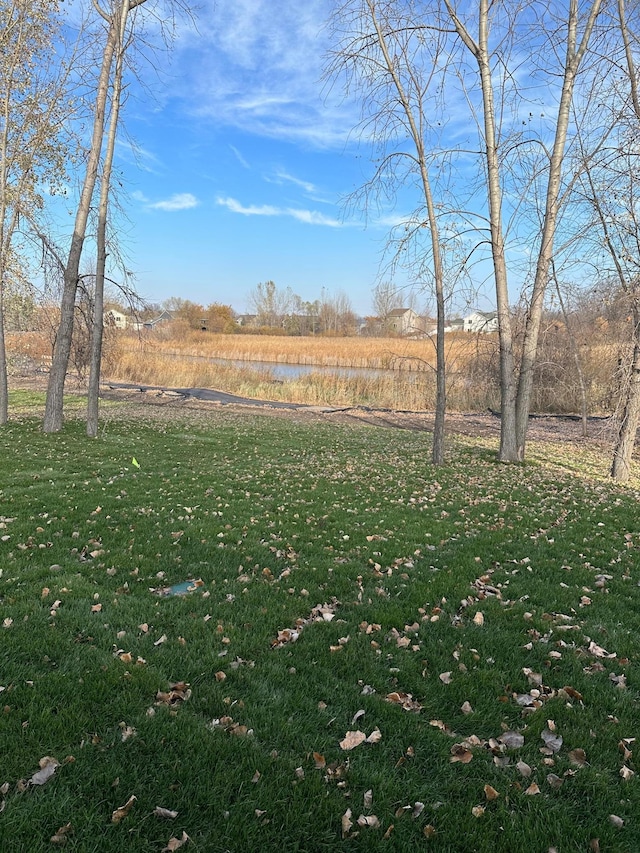 view of yard with a rural view