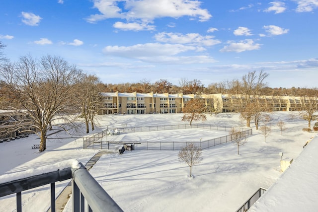 view of yard covered in snow