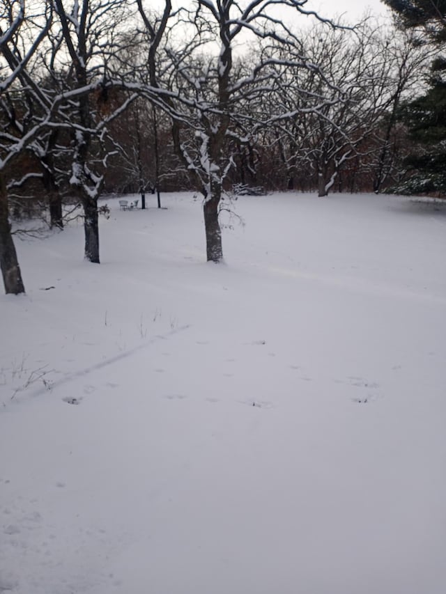 view of yard layered in snow