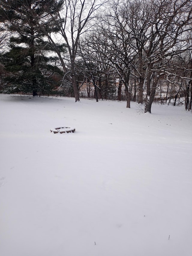 view of yard layered in snow