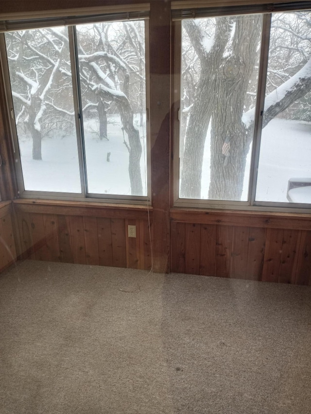 room details featuring wood walls and carpet