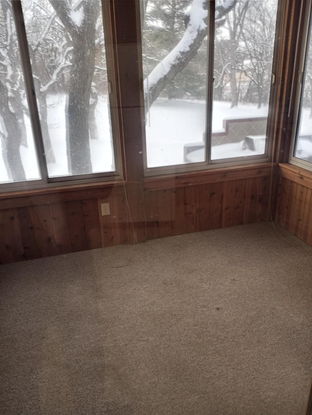 interior space with carpet floors and wooden walls