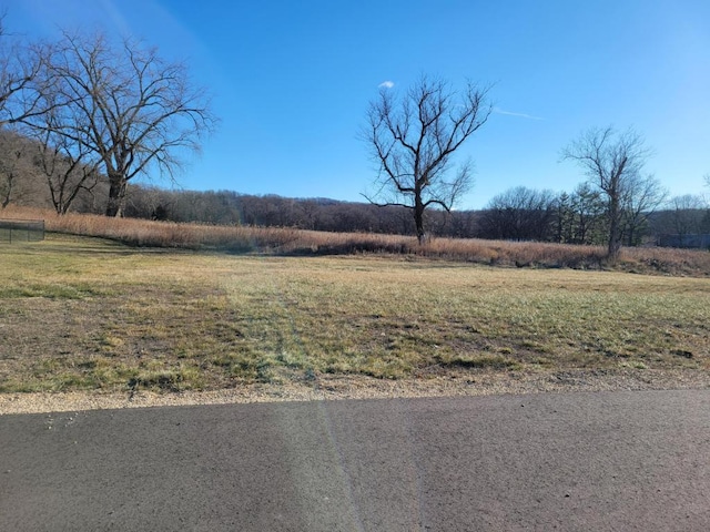 8LOTS-1PRICE Briella Ave, Rushford Village, MN 55971 - photo 5