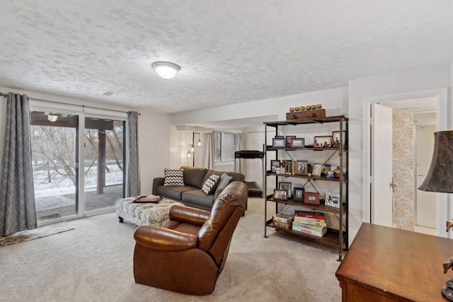 carpeted living room with a textured ceiling